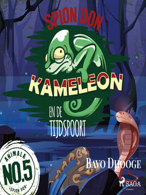 cover image of Spion Don Kameleon en de Tijdspoort